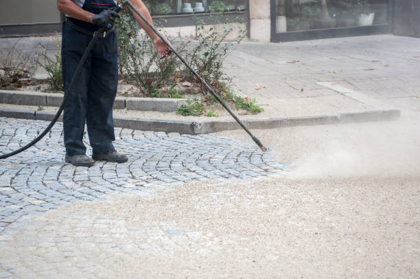Best Sidewalk and Walkway Cleaning  in Southmayd, TX